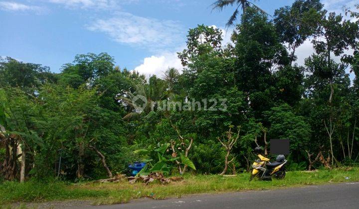 Tanah Murah Pinggir Jalan Strategis Dekat Candi Borobudur 2