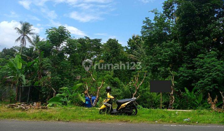 Tanah Murah Pinggir Jalan Strategis Dekat Candi Borobudur 1