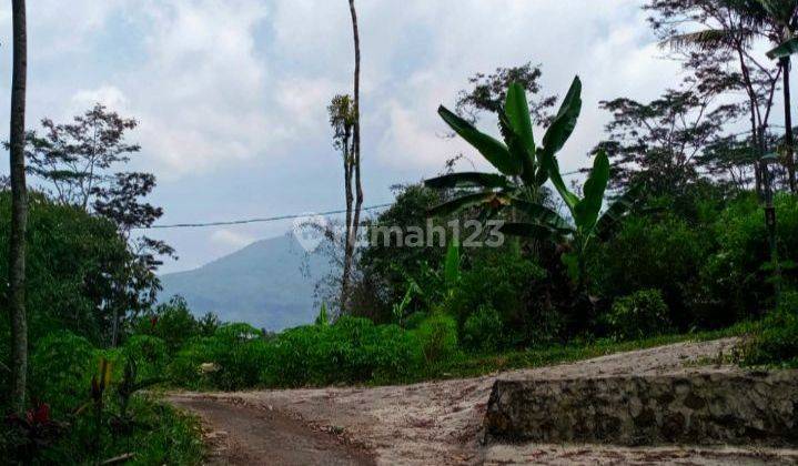 Tanah Murah Luas 1200 m² SHM di Grabag Magelang 1