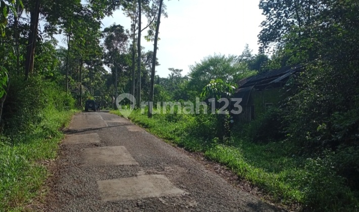 Tanah Pekarangan Luas Murah Utk Kebun Kandang Di Tepusen Kaloran Temanggung Tanah Pekarangan Luas Murah Utk Kebun Kandang Di Tepusen Kaloran Temanggung