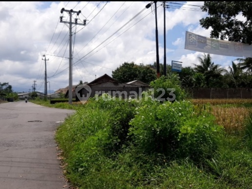 Tanah Sawah Strategis Pinggir Jalan Seloboro Salam Magelang 2