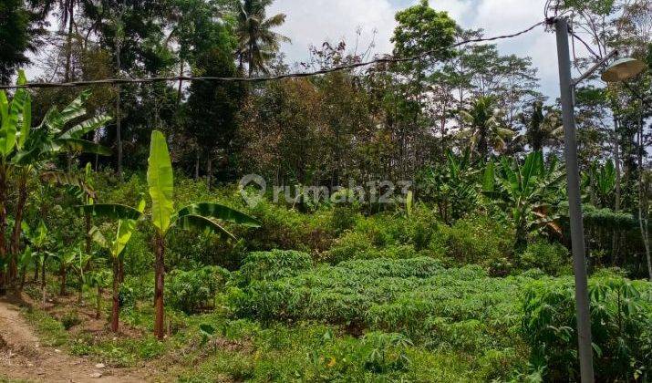 Tanah Murah Luas 1200 m² SHM di Grabag Magelang 2