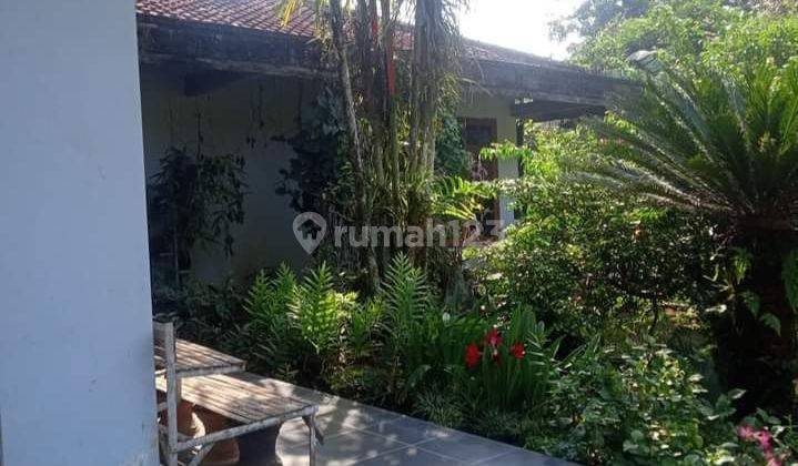 Rumah Desa Halaman Luas, Kebun Buah, Kolam Ikan 1