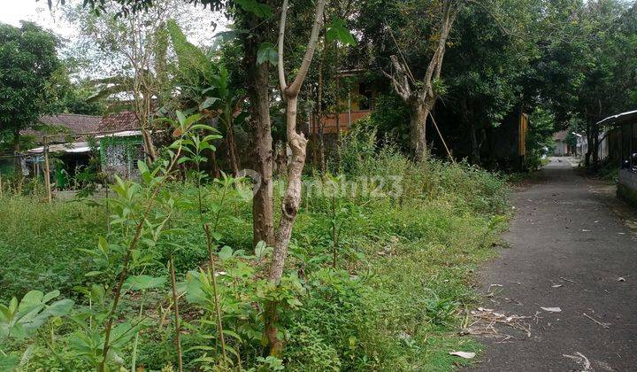 Tanah Pekarangan Di Sawitan Mungkid Magelang 1