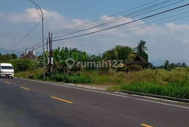 Tanah Kosong Pinggir Jalan Raya, Strategis untuk Usaha, Dekat Borobudur Jalan Raya Magelang Yogyakarta 1