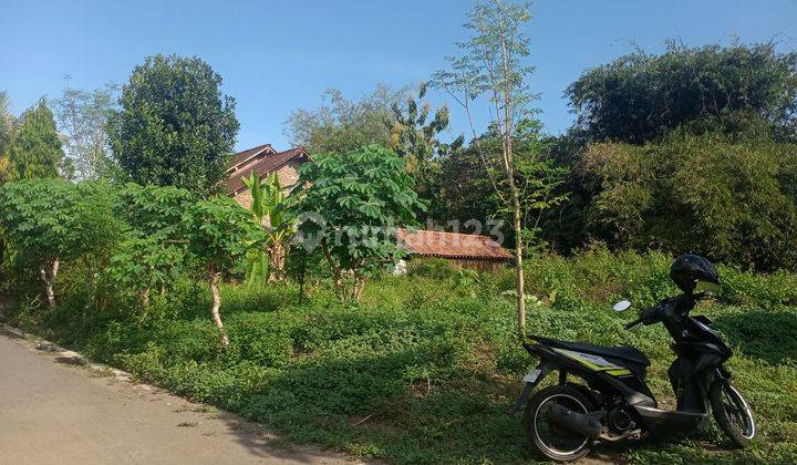 Tanah Pekarangan SHM Murah Strategis di Borobudur Magelang 2