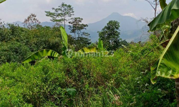 Tanah Murah Luas 1200 m² SHM di Grabag Magelang 2