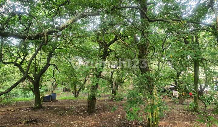 Premium Land with Strategic Access in Pancoran Mas, Depok