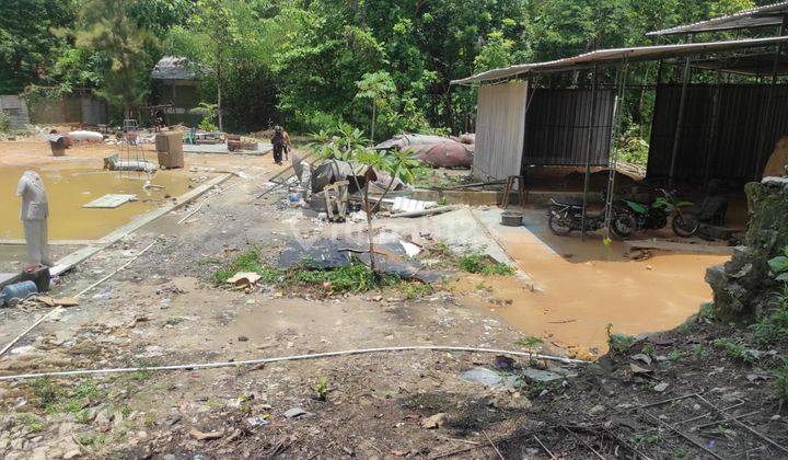  Tanah Luas Cocok Untuk Usaha Pertanian Perikanan Dekat Goa Selarong Giwosari Bantul 2