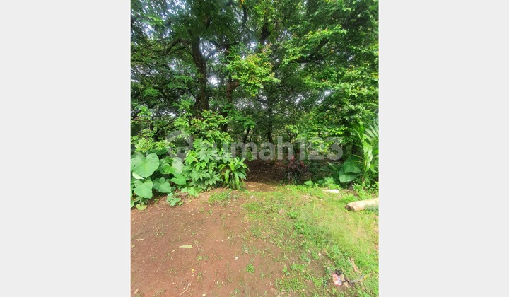 Tanah Murah di Rangkapan Jaya Dekat Tol Sawangan Tanah Murah di Rangkapan Jaya Dekat Tol Sawangan