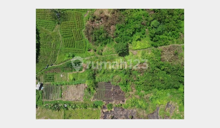 Tanah Super Luas di Klungkung Dekat Bali Safari Tanah Super Luas di Klungkung Dekat Bali Safari