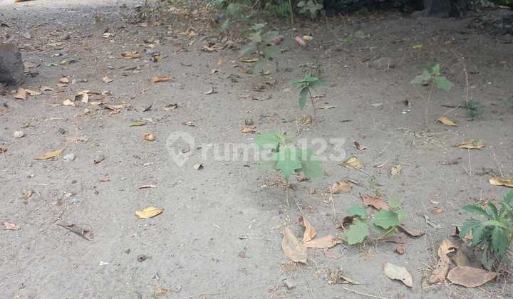 HANYA 1 UNIT SAJA TANAH KAVLING MURAH DI TIRTOMARTANI HANYA 1 UNIT SAJA TANAH KAVLING MURAH DI TIRTOMARTANI