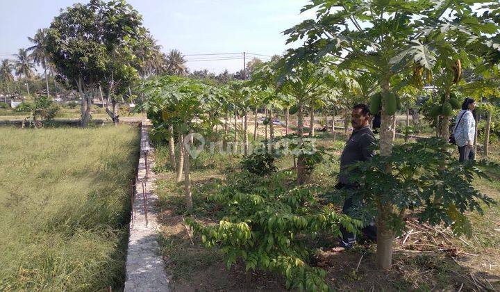 Tanah Luas Di Bantul Sudah Di Pondasi Dekat Jalan Srandakan 2