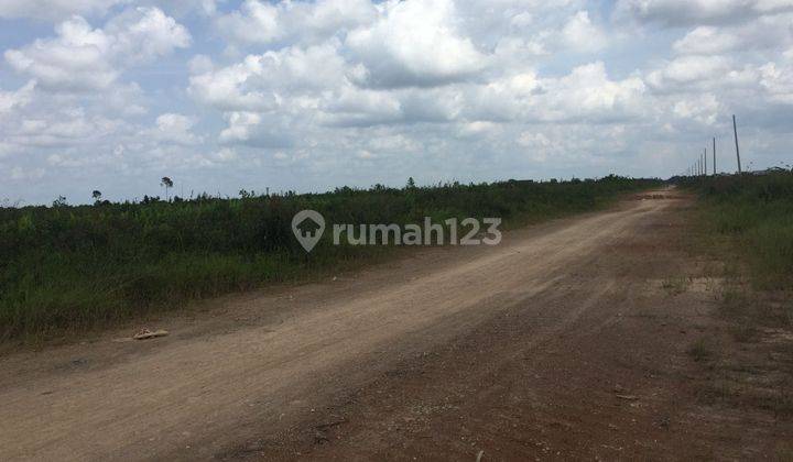 Tanah Kalimantan Dekat Bandara International Supadio Pontianak 1