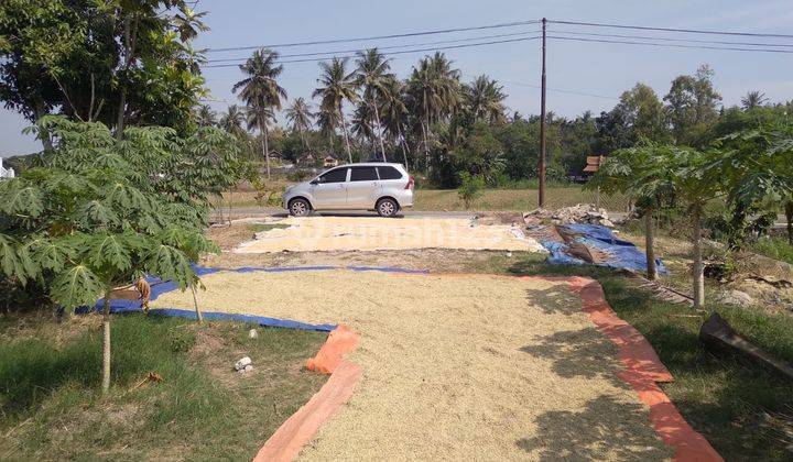 Tanah SHM Cukup Luas Lokasi Dekat Sma Negeri 1 Bantul 1