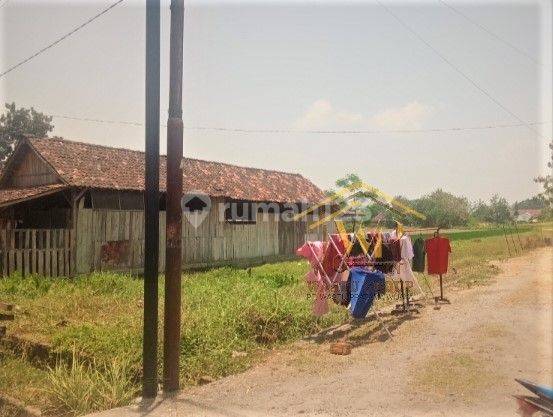 Tanah Murah Dekat Jl Godean Km 9.5 Sleman Untuk Investasi 1