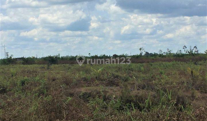 Tanah Luas Di Sungai Raya Akses Dekat Pontianak Harga Nego 2