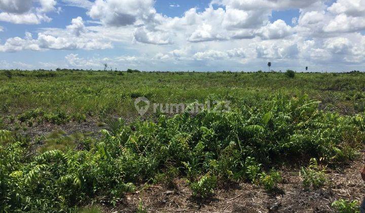 Tanah Luas Berpotensi Lokasi Di Sungai Raya, Kubu Raya 1