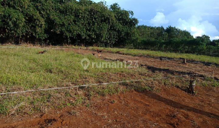 Tanah Kavling Murah, Cocok Investasi Atau Siap Bangun Rumah 2