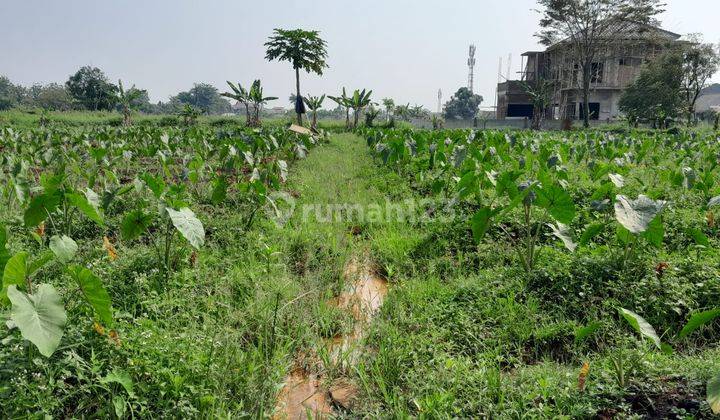 Investasi Properti di Dramaga Kavling Siap Bangun Dekat Tol  2