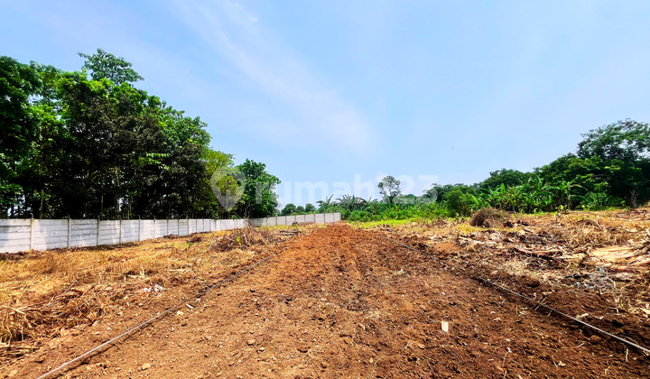 Tanah Cisauk 1 Jt-An Dekat Hiera BSD, SHM