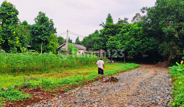 Tanah SHM Hanya 1 Jt-An Dekat Pintu Tol Burangkeng Tanah SHM Hanya 1 Jt-An Dekat Pintu Tol Burangkeng