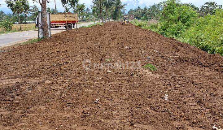 Kesempatan Langka Kavling Eksklusif di Beji Menanti Anda 1