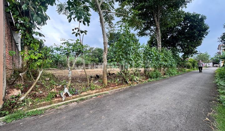 1 Million Rupiah Plot of Land - SHM, 15 Minutes to Legok Toll Gate