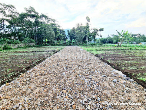 Kavling Murah Dekat Exit Tol Sentul, SHM Kavling Murah Dekat Exit Tol Sentul, SHM