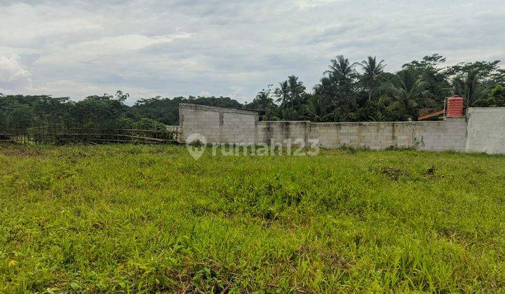 Tanah Kavling Murah Strategis, Siap Bangun Rumah Huni di Bogor 1