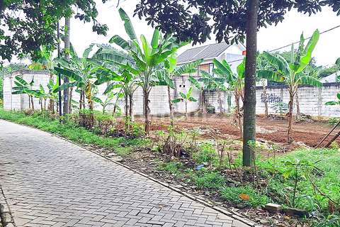 Cheap Land Near Rawa Buntu Station, SHM