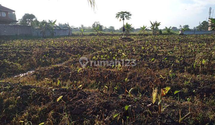 Tanah Kavling di Dramaga Bogor Lokasi Premium, Potensi Tinggi  2