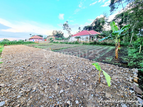 Kavling Murah Dekat Exit Tol Sentul, SHM Kavling Murah Dekat Exit Tol Sentul, SHM
