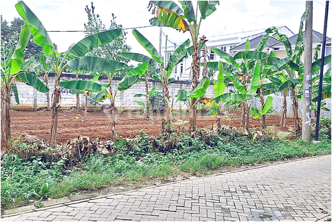 Tanah Murah Dekat Stasiun Rawa Buntu, SHM Terjamin Tanah Murah Dekat Stasiun Rawa Buntu, SHM Terjamin