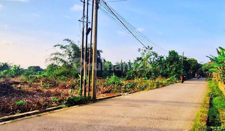 Cheap Land in Cisauk 1 Million per Are, 10 Minutes to Jatake Station BSD, Freehold Title