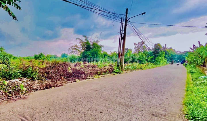 Cheap Plots 1 Million Each in Cisauk, 10 Minutes to Jatake BSD Station, SHM Cheap Plots 1 Million Each in Cisauk, 10 Minutes to Jatake BSD Station, SHM