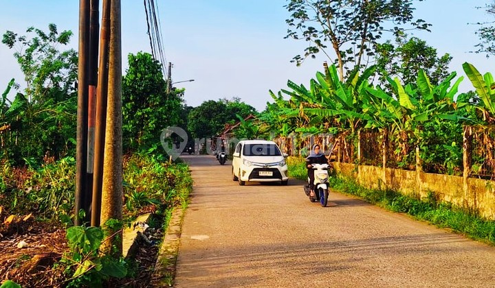 Land Plot 1 Million-An in Cisauk Near Hiera BSD, SHM Land Plot 1 Million-An in Cisauk Near Hiera BSD, SHM