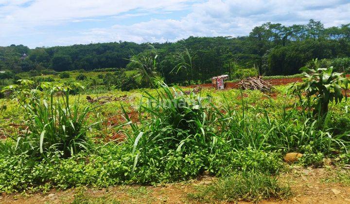 Tanah Dekat Stasiun Cibinong, Cocok Untuk Hunian Atau Usaha  2