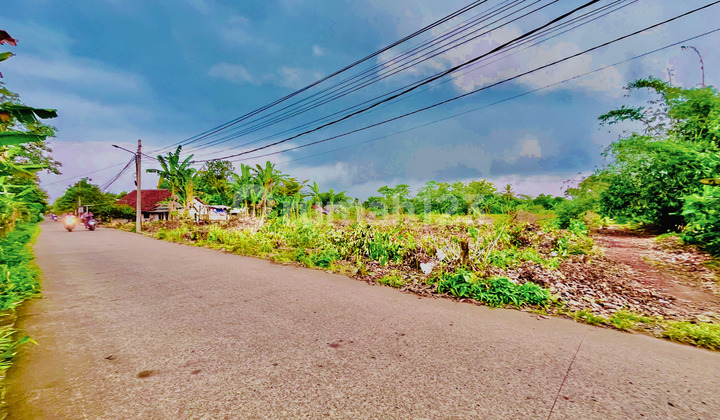 Tanah Murah Cisauk 1 Jt-An, Dekat Stasiun Jatake, SHM