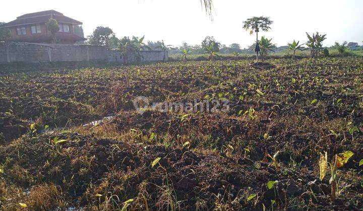 Tanah Kavling Dramaga Dekat Dengan Kampus Tol 2