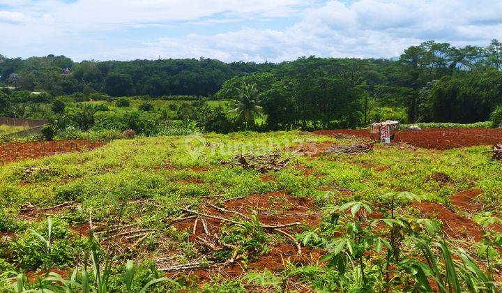  Tanah di Jalan Raya Sukahati Cibinong, Potensi Bisnis Tinggi  2