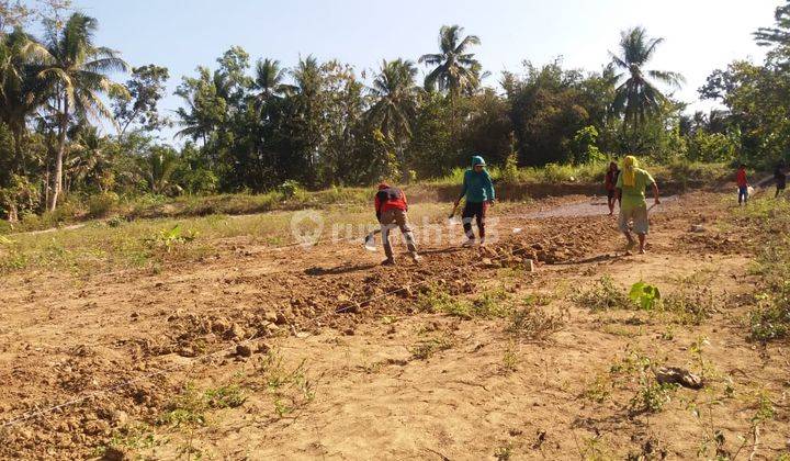 Kavling Murah Strategis, Siap Bangun 5 Menit Ke Tol Citeureup 2