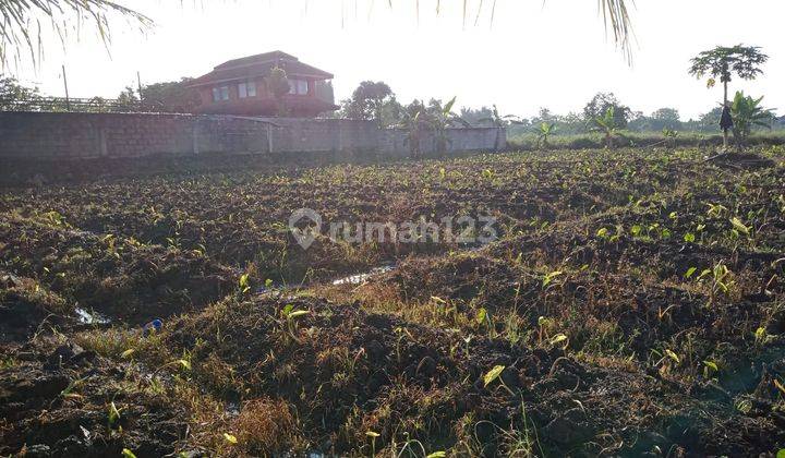 Tanah Kavling Dramaga Dekat Dengan Kampus Tol 1