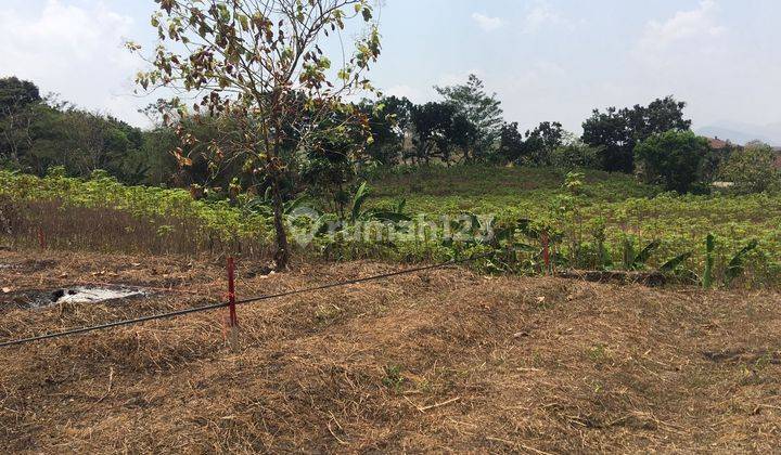 Lahan Luas di Sentul Bebas Rencana, Bebas Khawatir  1