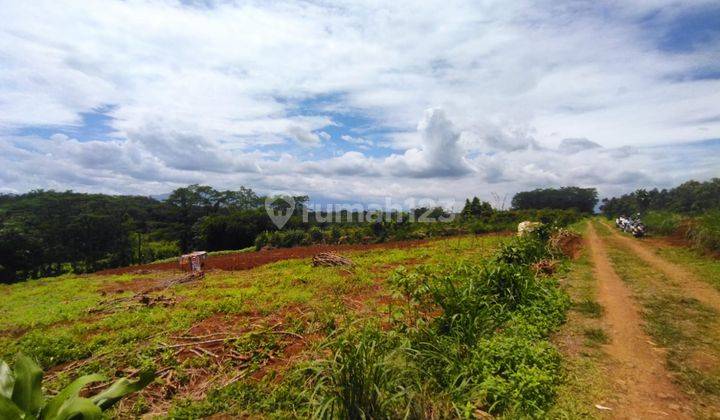 Tanah Kavling Cibinong Investasi Aman, Masa Depan Cerah  1