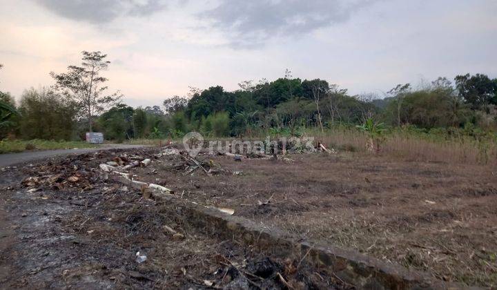 Tanah Kavling Murah Free SHM Lingkungan Asri di Sentul Bogor 1