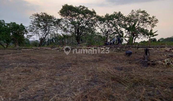 Tanah Kavling Murah Free SHM Lingkungan Asri di Sentul Bogor 2