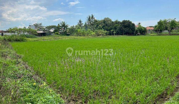 Dijual Tanah Residensial Cikupa Sindang Jaya Rajeg 1