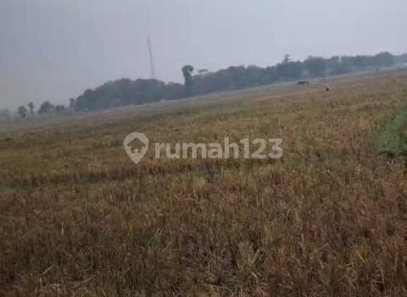 Dijual Lahan Lokasi Pinggir Jalan Besar 