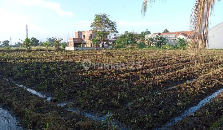Kavling di Margajaya Dekat Kampus IPB, Harga 2 Jutaan 2